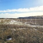 Продаж земельної ділянки, 252 соток, Гореничі | 1