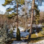 Продаж будинку 223м², 20 соток, Ходосівка | 13