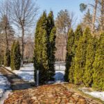 Продаж будинку 223м², 20 соток, Ходосівка | 7