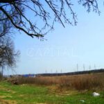 Продаж земельної ділянки, 90 соток, Святопетрівське | 9
