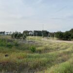 Продаж земельної ділянки, 530 соток, Нове Залісся | 2