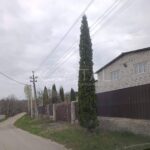 Продаж будинку 400м², 15 соток, Васильків | 5