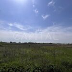 Продаж земельної ділянки, 220 соток, Путрівка | 11