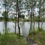 Продаж будинку 159м², 10 соток, Романків | 7