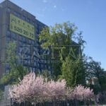 Продаж комерційної нерухомості по вул. Кільцева дорога, 80 м² | 2