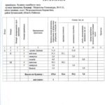 Продаж будинку 160м², 1 соток, Петропавлівська Борщагівка | 21