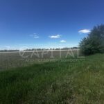 Продаж земельної ділянки, 540 соток, Макарів | 5