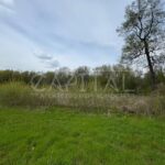 Продаж земельної ділянки, 25 соток, Вишеньки | 3