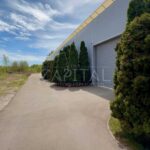 Продаж земельної ділянки, 24 соток, Вишеньки | 4
