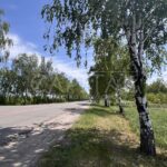 Продаж земельної ділянки, 220 соток, Путрівка | 8