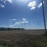 Продаж земельної ділянки, 700 соток, Копилов | 2