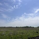 Продаж земельної ділянки, 220 соток, Путрівка | 10