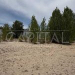 Продаж земельної ділянки, 24 соток, Вишеньки | 7