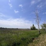 Продаж земельної ділянки, 220 соток, Путрівка | 6