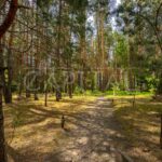 Продаж будинку 1272м², 130 соток, Хлепча | 9