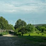 Продаж земельної ділянки, 88 соток, Старі Безрадичі | 6