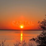Продаж земельної ділянки, 48 соток, Старі Петрівці | 3