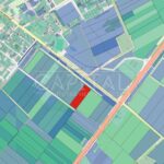 Продаж земельної ділянки, 220 соток, Путрівка | 5