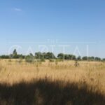 Продаж земельної ділянки, 170.43 соток, Петропавлівське | 12