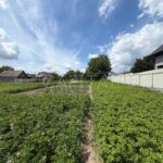 Продаж земельної ділянки, 8 соток, Петропавлівська Борщагівка | 5