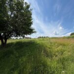 Продаж земельної ділянки, 8 соток, Петропавлівська Борщагівка | 1