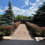 Оренда будинку 450м², 15 соток, Нові Петрівці | 4