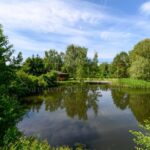 Оренда будинку 500м², 200 соток, Забір'я | 6