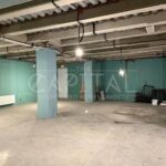 Оренда комерційної нерухомості по вул. Михайлівська, 522 м² | 6
