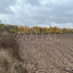 Продаж земельної ділянки, 170.43 соток, Петропавлівське | 14