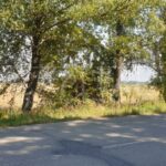 Продаж земельної ділянки, 170.43 соток, Петропавлівське | 3