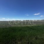 Продаж земельної ділянки, 950 соток, Березівка | 2