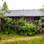 Оренда будинку 220м², 25 соток, Плюти | 10