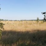 Продаж земельної ділянки, 170.43 соток, Петропавлівське | 11