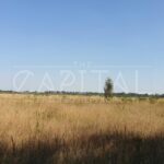 Продаж земельної ділянки, 170.43 соток, Петропавлівське | 13
