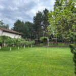 Продаж будинку 60м², 22 соток, Проців | 5
