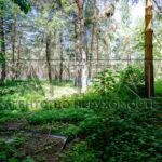 Продаж будинку 454м², Лебедівка | 11