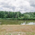 Продаж будинку 497м², 24 соток, Северинівка | 23
