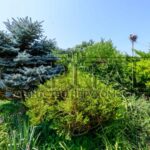 Продаж будинку 450м², 17 соток, Підгірці | 4