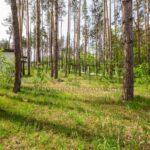 Продаж будинку 264м², 20 соток, Ходосівка | 13