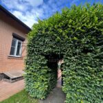 Продаж будинку 585м², 22 соток, Буча | 16