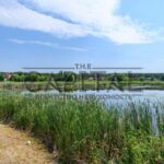 Оренда будинку 753.5м², 42 соток, Київ | 23