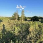 Продаж земельної ділянки, 100 соток, Чайки | 4