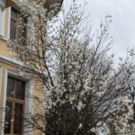 Продаж будинку 912м², 42 соток, Лісники | 10