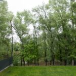 Оренда будинку 400м², 12 соток, Осещина | 7