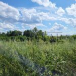 Продаж земельної ділянки, 100 соток, Чайки | 5