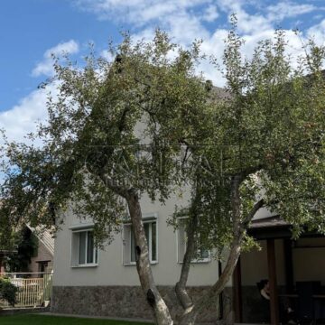 Оренда будинку 163м², 10 соток, Таценки