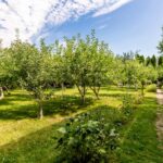 Продаж будинку 145м², 26 соток, Затишне | 10