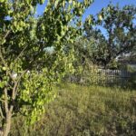Продаж будинку 300м², 25 соток, Ходосівка | 5