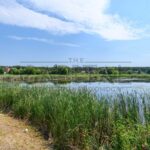 Продаж будинку 1100м², 42 соток, Київ | 9