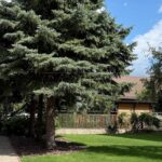 Оренда будинку 163м², 10 соток, Таценки | 4